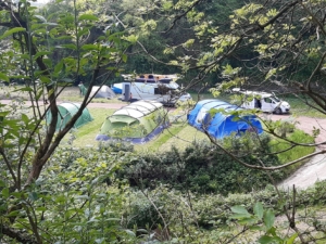 Treetops tent pitches