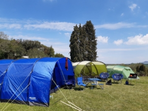 three tents pitched in group
