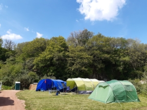 Treetops tent pitches